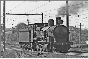 Canterbury 5095.jpg